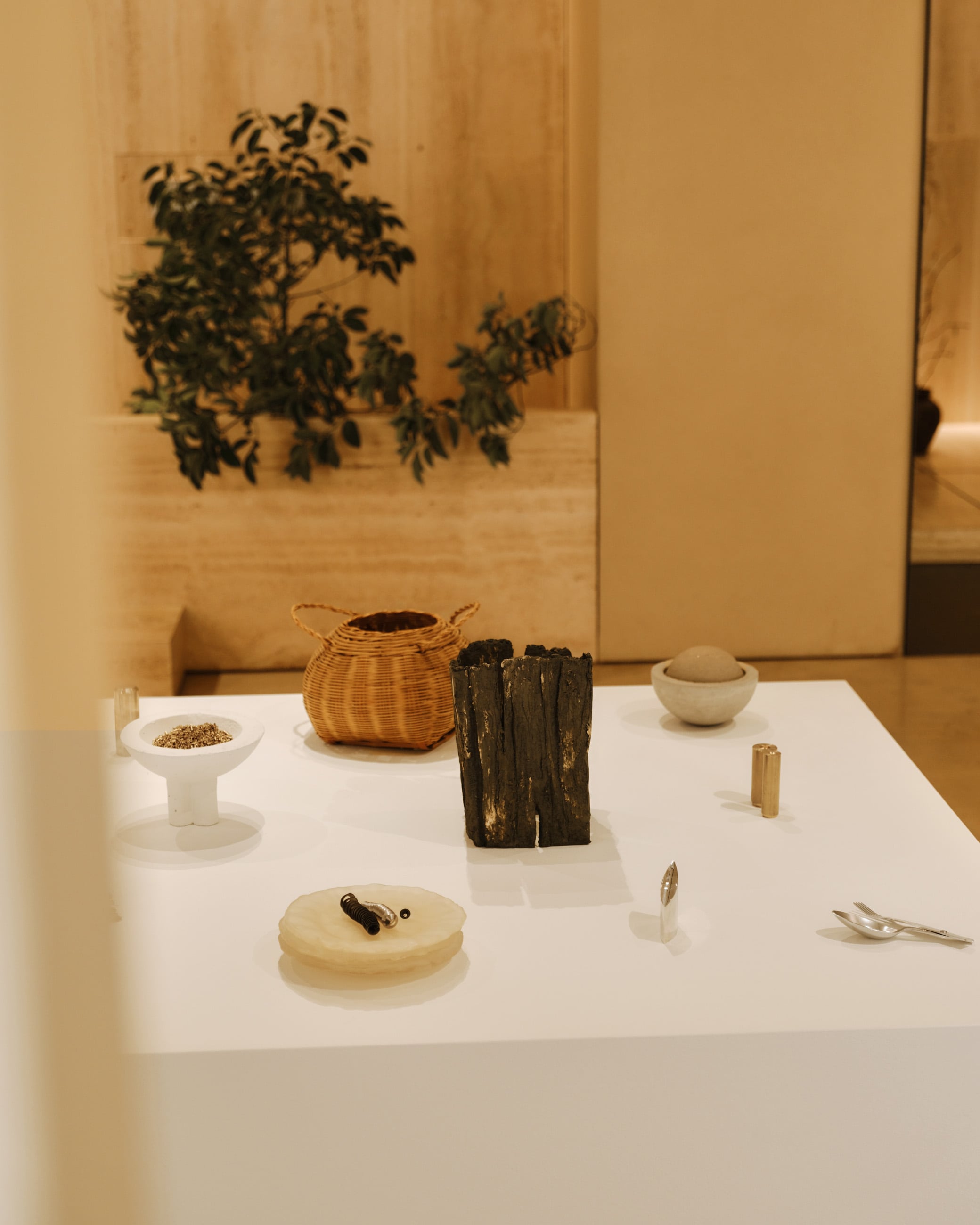 A neatly arranged collection of beautiful things on a white table